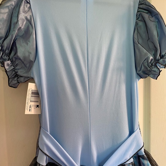 Wicked Dorothy Costume NWT (Fits Most) - Picture 6 of 7